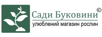Sady Bukovyny